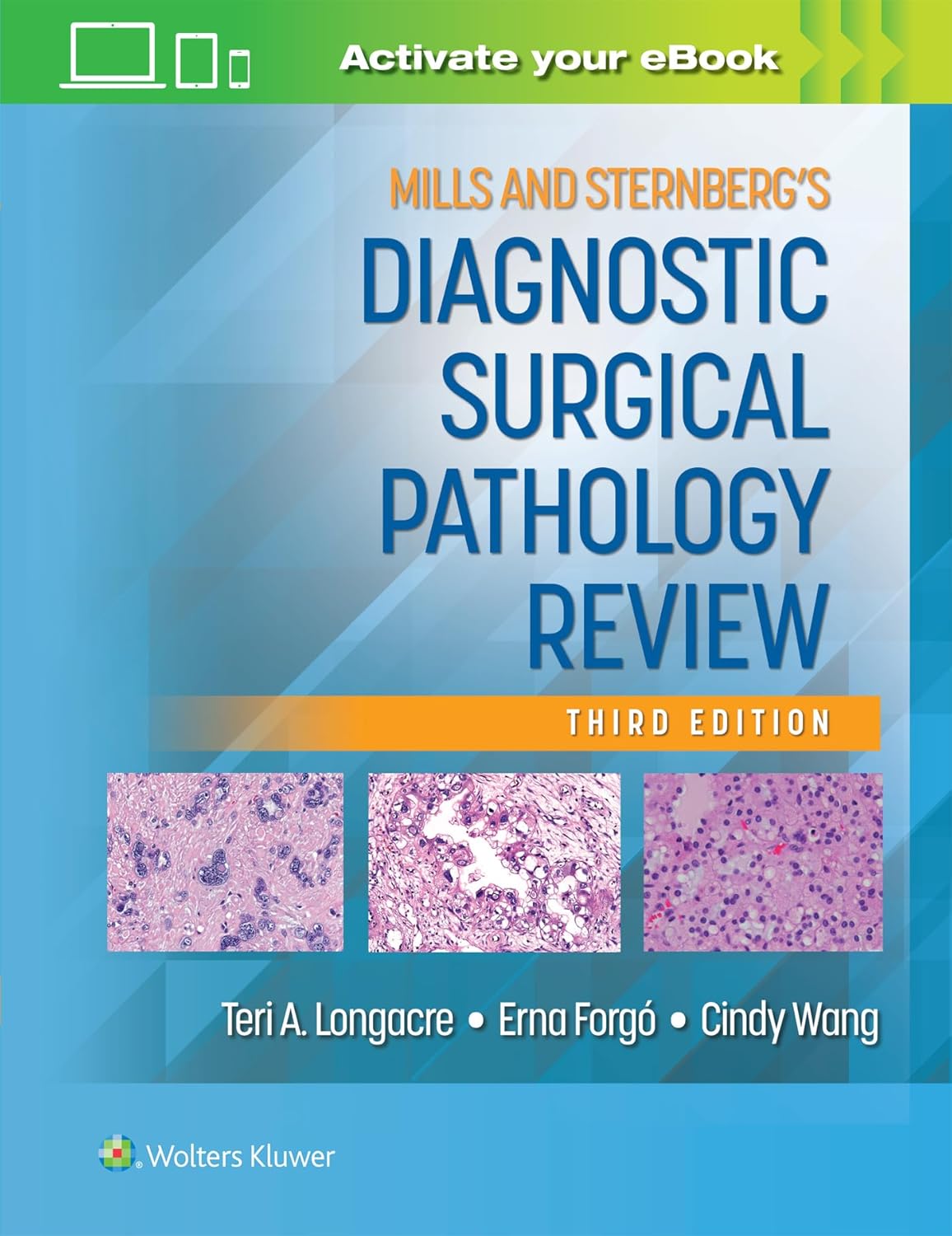 71g52z477eL._SL1500_ خرید و دانلود نسخه کامل کتاب Mills and Sternberg's Diagnostic Surgical Pathology Review Third Edition