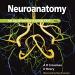 دانلود کتاب Neuroanatomy: an Illustrated Colour Text 6th Edition