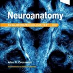 دانلود کتاب Neuroanatomy: Illustrated Colour Text 7th Edition