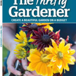 خرید و دانلود نسخه کامل مجله BBC Gardeners World؛ 2024، ویژه نامه، باغبان صرفه جو
