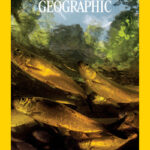 خرید و دانلود نسخه کامل مجله National Geographic USA؛ ژوئن 2024