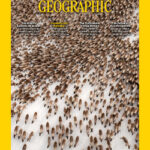 خرید و دانلود نسخه کامل مجله National Geographic USA؛ مارس 2025