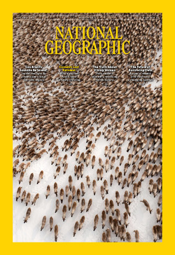 National_Geographic_USA_March_2025 خرید و دانلود نسخه کامل مجله National Geographic USA؛ مارس 2025 - تصویر 1