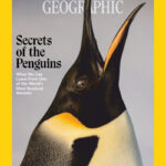 خرید و دانلود نسخه کامل مجله National Geographic USA؛ می 2025