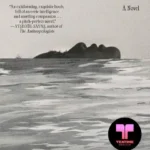 خرید و دانلود نسخه کامل کتاب صوتی انگلیسی انضباط، اثر لاریسا فام Discipline by Larissa Pham