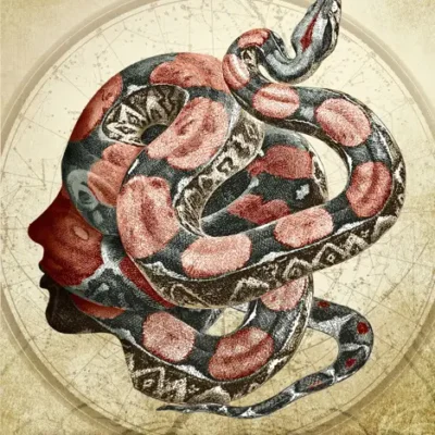 خرید و دانلود نسخه کامل کتاب صوتی انگلیسی مار رویا، اثر ووندا ان. مک‌اینتایر Dreamsnake by Vonda N. McIntyre