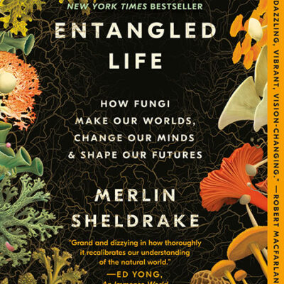 خرید و دانلود نسخه کامل کتاب صوتی انگلیسی زندگی درهم‌تنیده، اثر مرلین شلدریک Entangled Life: How Fungi Make Our Worlds, Change Our Minds & Shape Our Futures by Merlin Sheldrake