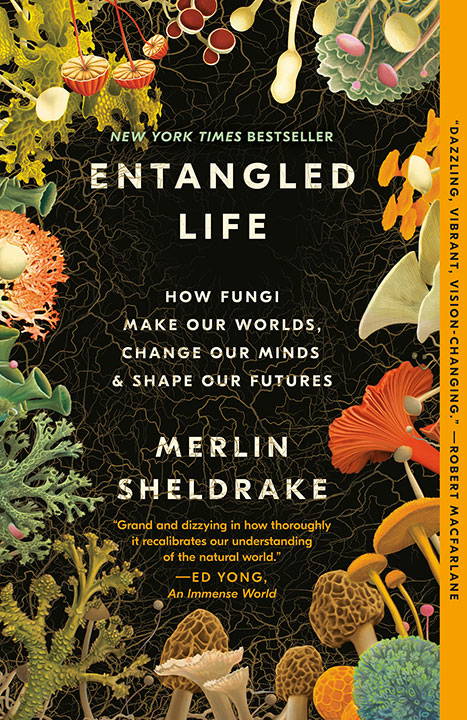 entangled-life-how-fungi-make-our-worlds-change-our-minds-shape-our-futures-by-merlin-sheldrake_69ee2e0851669 خرید و دانلود نسخه کامل کتاب صوتی انگلیسی زندگی درهمتنیده، اثر مرلین شلدریک Entangled Life: How Fungi Make Our Worlds, Change Our Minds & Shape Our Futures by Merlin Sheldrake - تصویر 1