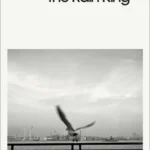 خرید و دانلود نسخه کامل کتاب صوتی انگلیسی هندرسون شاه باران، اثر سال بلو Henderson the Rain King by Saul Bellow