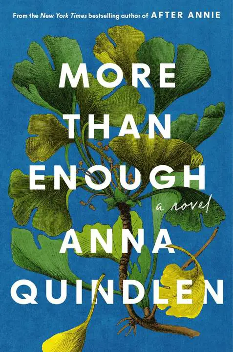 more-than-enough-by-anna-quindlen_6a0c11fd935f8 خرید و دانلود نسخه کامل کتاب صوتی انگلیسی فراتر از کافی، اثر آنا کویندلن More Than Enough by Anna Quindlen - تصویر 1