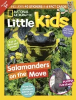 خرید و دانلود نسخه کامل 12 مجله نشنال جئوگرافیک کودکان خردسال National Geographic Little Kids 2026 - تصویر 3