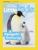 خرید و دانلود نسخه کامل 48 مجله نشنال جئوگرافیک کودکان خردسال National Geographic Little Kids - تصویر 2