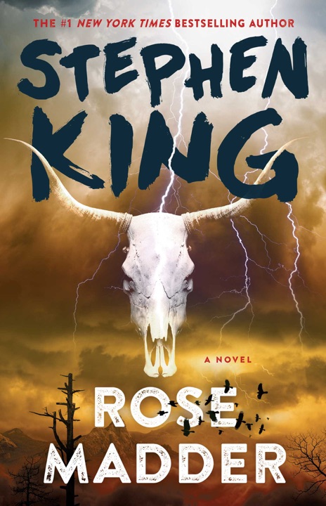 rose-madder-by-stephen-king_6a06b1b670215 خرید و دانلود نسخه کامل کتاب صوتی انگلیسی رز مَدِر، اثر استیون کینگ Rose Madder by Stephen King - تصویر 1