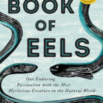 خرید و دانلود نسخه کامل کتاب صوتی انگلیسی کتاب مارماهی‌ها، اثر پاتریک اسونسون The Book of Eels: Our Enduring Fascination with the Most Mysterious Creature in the Natural World by Patrik Svensson