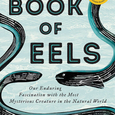 خرید و دانلود نسخه کامل کتاب صوتی انگلیسی کتاب مارماهی‌ها، اثر پاتریک اسونسون The Book of Eels: Our Enduring Fascination with the Most Mysterious Creature in the Natural World by Patrik Svensson