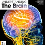 دانلود مجله شناخت مغز Understanding The Brain - 3rd Edition 2025
