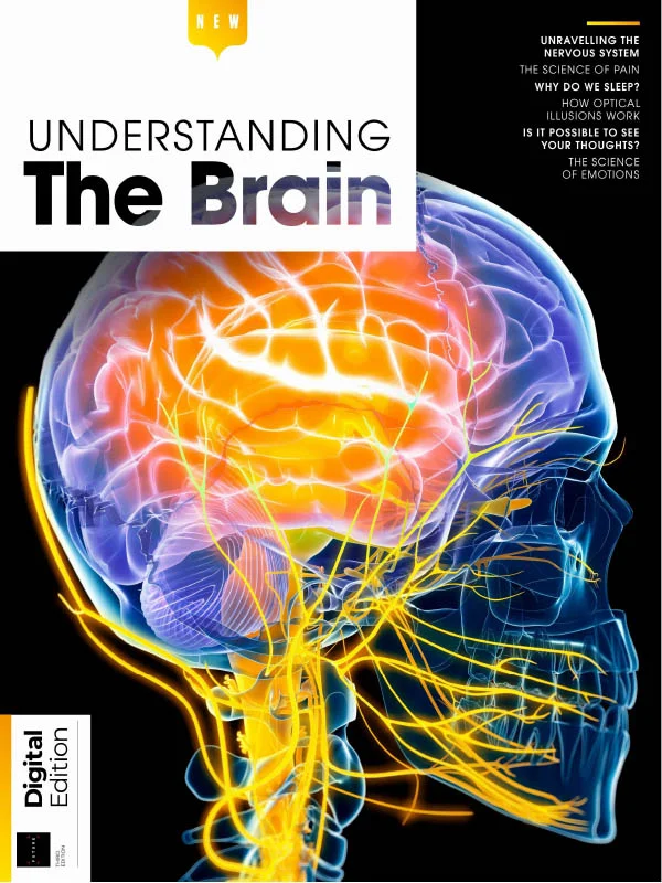 understanding-the-brain-ed3-2025 دانلود مجله شناخت مغز Understanding The Brain - 3rd Edition 2025