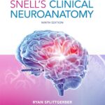 خرید و دانلود نسخه کامل کتاب Snell's Clinical Neuroanatomy 9th Edition