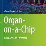 خرید و دانلود نسخه کامل کتاب Organ-on-a-Chip: Methods and Protocols (Methods in Molecular Biology, 2373)