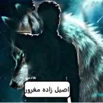 خرید و دانلود نسخه کامل رمان اصیل زاده مغرور اثر هادس