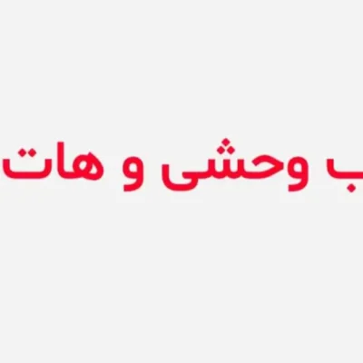 خرید و دانلود نسخه کامل رمان ارباب وحشی و هات من ( جلد دوم)