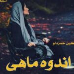 خرید و دانلود نسخه کامل رمان
 اندوه ماهی اثر تکین حمزه لو