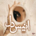 خرید و دانلود نسخه کامل رمان
 انیس دل اثر صدیقه بهران فر