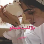 خرید و دانلود نسخه کامل رمان
 بازگشت طیطو اثر سروناز روحی