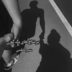خرید و دانلود نسخه کامل رمان
 بر شاخ های یک گوزن اثر منیر کاظمی