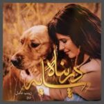 خرید و دانلود نسخه کامل رمان
 در پناه سایه اثر زینب عامل