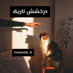 خرید و دانلود نسخه کامل رمان
 درخشش تاریک اثر تهمینه