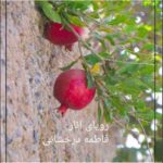 خرید و دانلود نسخه کامل رمان
 رویای انار اثر فاطمه درخشانی