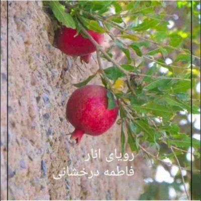 خرید و دانلود نسخه کامل رمان
 رویای انار اثر فاطمه درخشانی