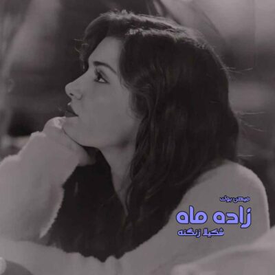 خرید و دانلود نسخه کامل رمان
 زاده ماه اثر شکیلا زنگنه