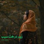 خرید و دانلود نسخه کامل رمان
 زیر درخت سیب اثر مهشید حسنی