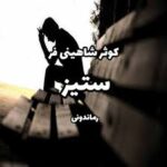 خرید و دانلود نسخه کامل رمان
 ستیز اثر کوثر شاهینی فر