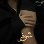 خرید و دانلود نسخه کامل رمان
 شوفر اثر —