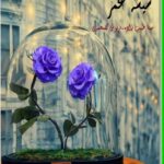 خرید و دانلود نسخه کامل رمان
 شیشه عمر اثر مینا طبیب زاده و فرنوش گل محمدی