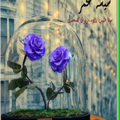 خرید و دانلود نسخه کامل رمان
 شیشه عمر اثر مینا طبیب زاده و فرنوش گل محمدی