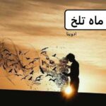 خرید و دانلود نسخه کامل رمان
 ماه تلخ اثر ادوینا