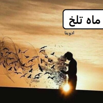 خرید و دانلود نسخه کامل رمان
 ماه تلخ اثر ادوینا