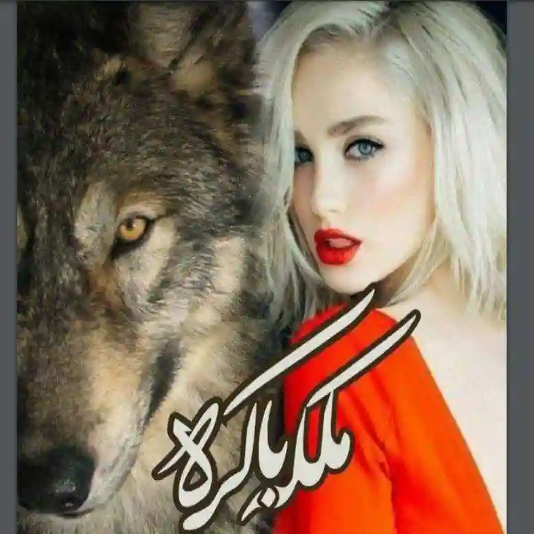 d8aed8b1db8cd8af-d988-d8afd8a7d986d984d988d8af-d986d8b3d8aed987-daa9d8a7d985d984-d8b1d985d8a7d986-d985d984daa9d987-d8a8d8a7daa9d8b1d987_6a5d904e06a02 خرید و دانلود نسخه کامل رمان
ملکه باکره دوجلد در یک فایل اثر کریستین اشلی - تصویر 1