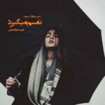 خرید و دانلود نسخه کامل رمان
 نفسم می‌گیرد اثر فهیمه ذوالفقاری