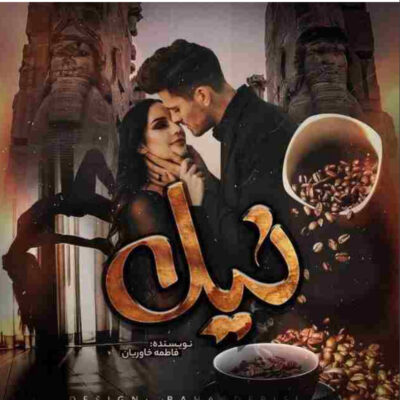 خرید و دانلود نسخه کامل رمان
 نیل اثر فاطمه خاوریان