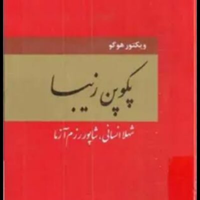 خرید و دانلود نسخه کامل رمان
 پکوپن زیبا اثر ویکتور هوگو