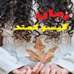 خرید و دانلود نسخه کامل رمان
 گیسوکمند از نگین حبیبی جلد اول