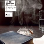 دانلود کتاب سالتو اثر مهدی افروز منش