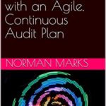 خرید و دانلود نسخه کامل کتاب Auditing at the Speed of Risk with an Agile, Continuous Audit Plan Kindle Edition