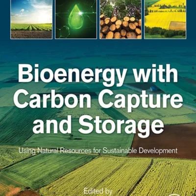 خرید و دانلود نسخه کامل کتاب 
Bioenergy with Carbon Capture and Storage: Using Natural Resources for Sustainable Development