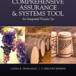 خرید و دانلود نسخه کامل کتاب Comprehensive Assurance & Systems Tool (CAST)